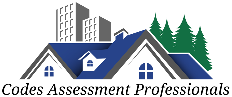 Codes Assessment Professionals